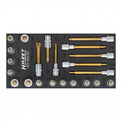 Werkzeuge – Qualität für Profis Satz TORX® Schraubendreher-Steckschlüsseleinsatz Satz, organisiert in einer Werkzeugablage, perfekt für diejenigen, die Werkzeug kaufen möchten. Jetzt kaufen