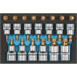 Werkzeuge – Qualität für Profis Set aus zwölf Torx-Plus-Steckschlüsselbits mit vergoldeten Spitzen und vier kleineren vergoldeten Torx-Bits in einer schwarzen Schaumstoffschale mit blauem Einsatz, in zwei Reihen angeordnet. Jetzt kaufen