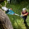 Werkzeuge – Qualität für Profis Eine Person in Schutzkleidung schneidet mit einer Stangensäge einen Ast von einem Baum in einem grasbewachsenen Garten ab. Jetzt kaufen